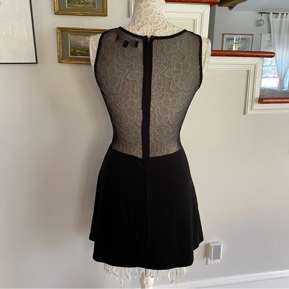 FOR LOVE & LEMONS Black Deep Vneck Black Mesh Skater Dress XS - Picture 5 of 8